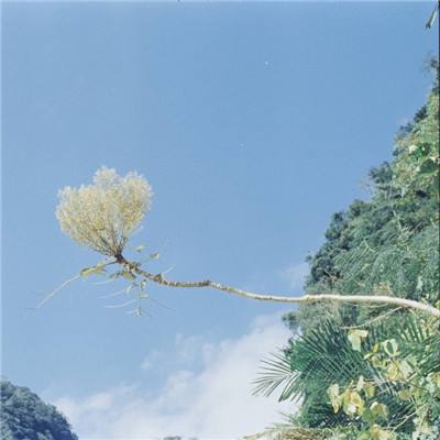 德州房产信息网